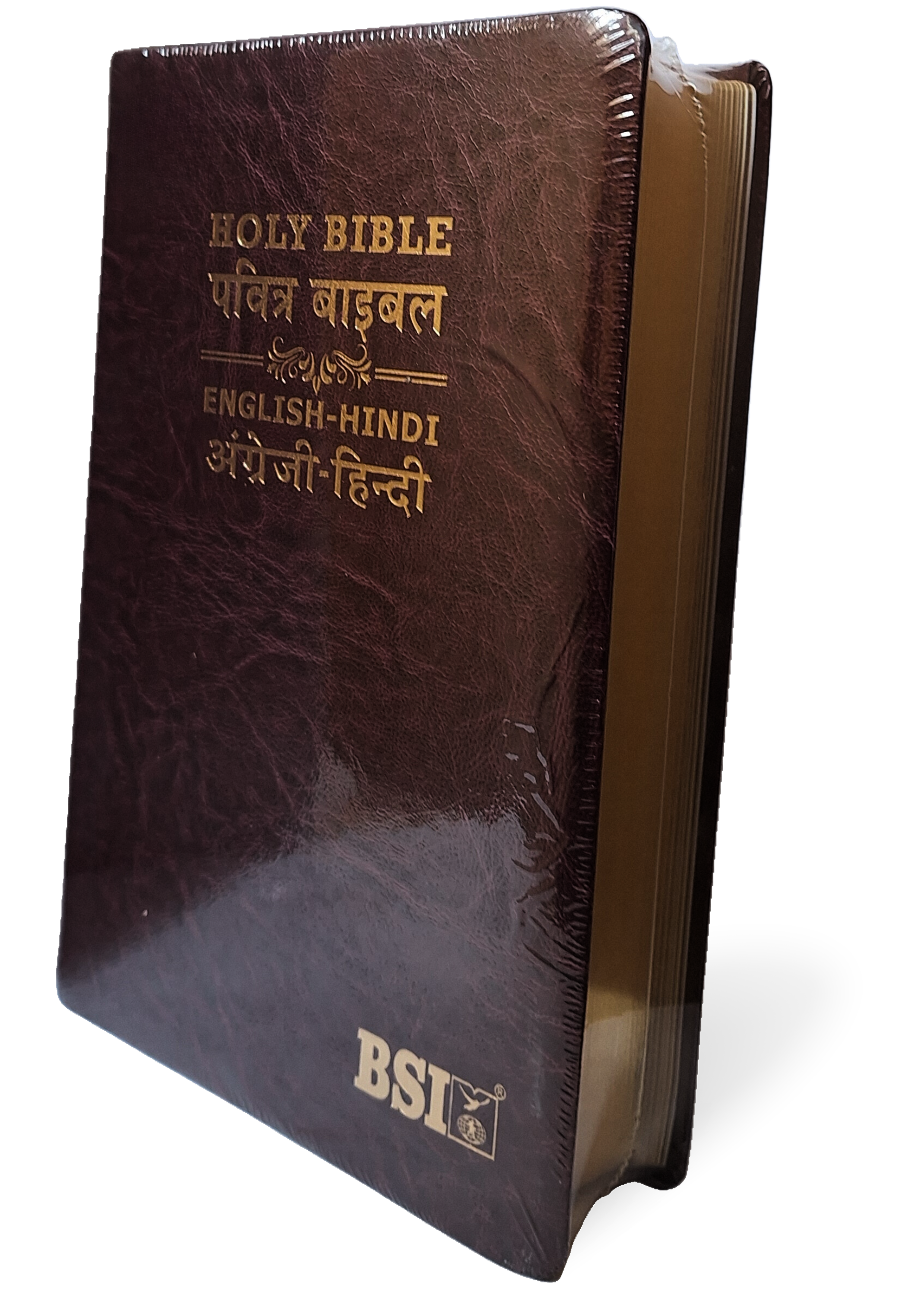 English Hindi Leather Bound Bilingual Holy Bible
