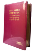 English Hindi Leather Bound Bilingual Holy Bible