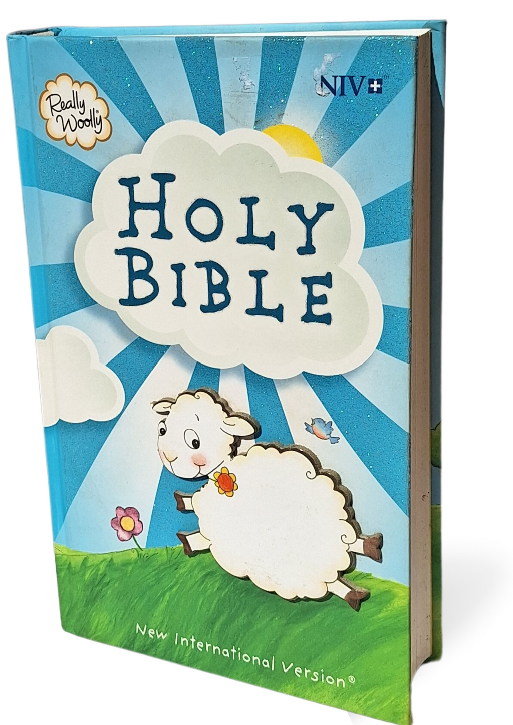 clearance Sale! NIV, Really Woolly Bible, Hardcover, Blue: New International Version Hardcover – Import