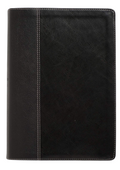 NLT Illustrated Study Bible with Tutone Black Imitation Leather binding