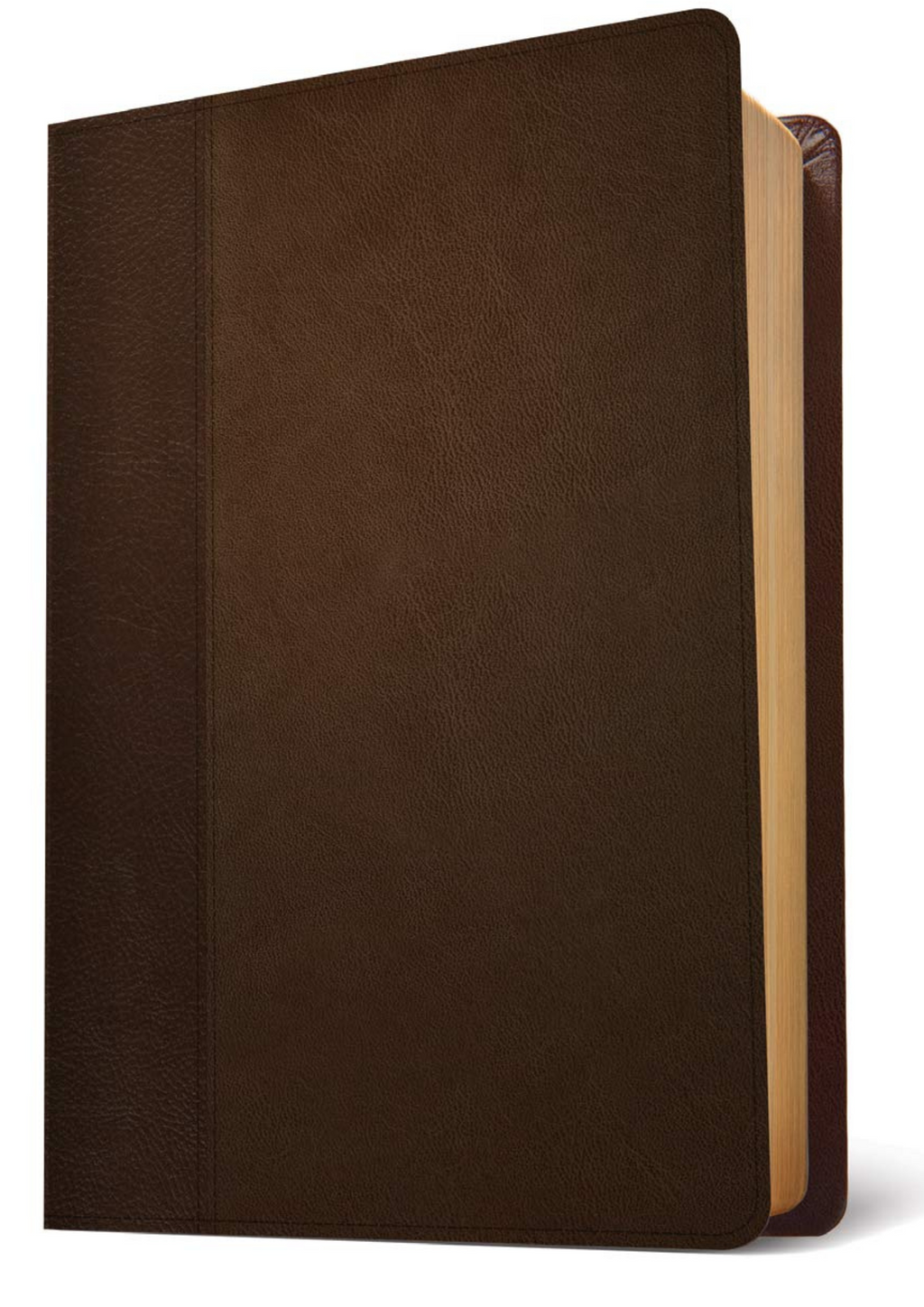 NLT Life Application Study Bible, Third Edition (Leatherlike, Dark Brown/Brown) Imitation Leather