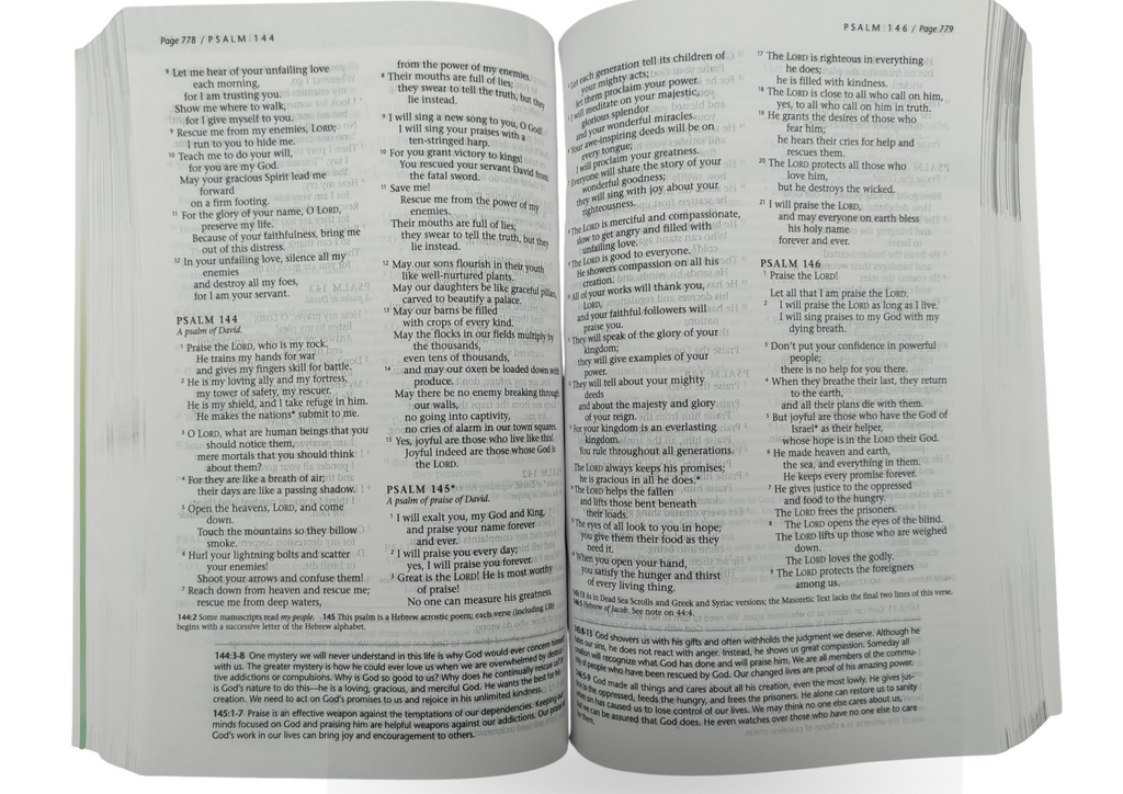 New Living Translation (NLT), Life Recovery Bible, Personal Size Paper Back.
