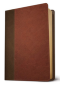 NIV Life Application Study Bible, Third Edition Imitation Leather (LeatherLike, Brown/Mahogany) Tyndale NIV Bible