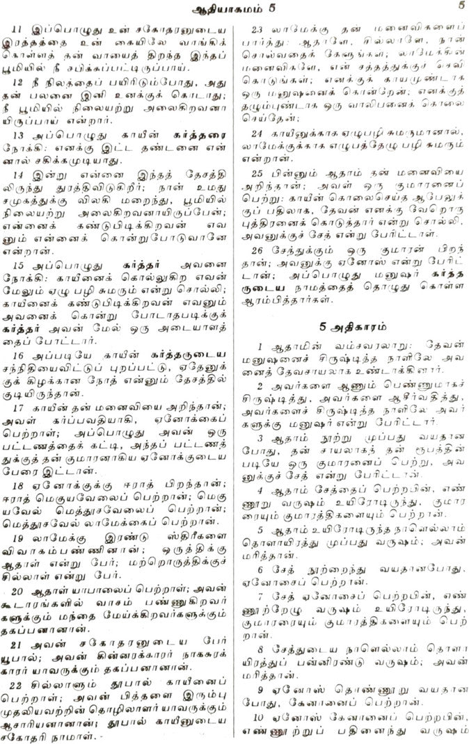 Limited Edition BSI Tamil Bible Royal Size Large Print Edition – Maroon Hardbound Holy Bible (Old & New Testament)