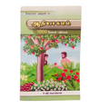 Genesis 1000 Questions and Answers Tamil Bible Study Guide