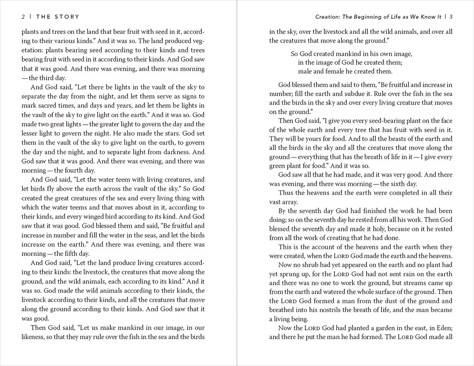 Illustrated Hardcover of NIV The Story, The Bible as One Continuing Story of God and His People