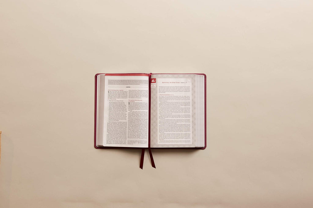 The NKJV, Vines Expository Bible, Leathersoft, Black, Comfort Print: A Guided Journey Through the Scriptures with Pastor Jerry Vines Imitation Leather