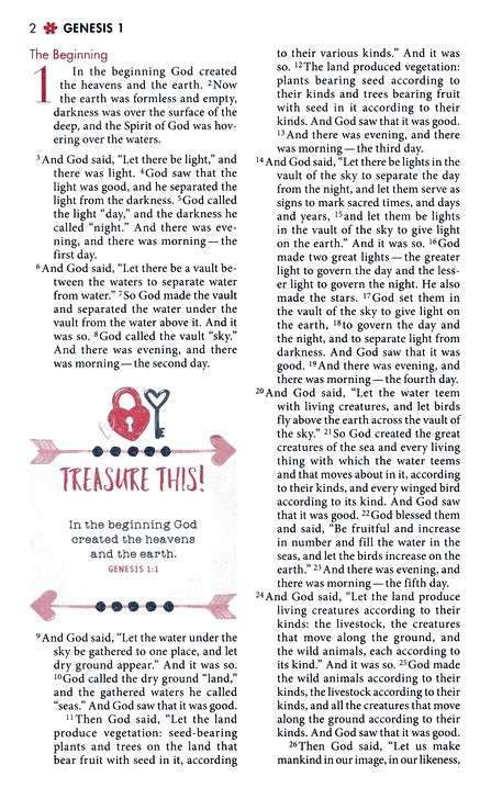 NIV Ultimate Bible for Girls: Faithgirlz Hardcover Edition (ISBN: 9780310765257)