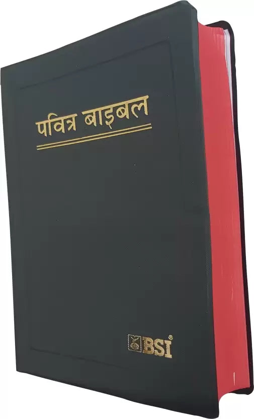 Complete Hindi Holy Bible - BSI version with Old and New Testament