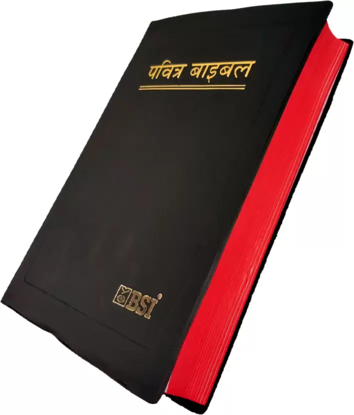 Comprehensive Hindi Holy Bible - BSI version including Old and New Testament