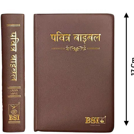 BSI Vinyl Crown Hindi Holy Bible - Brown Edition