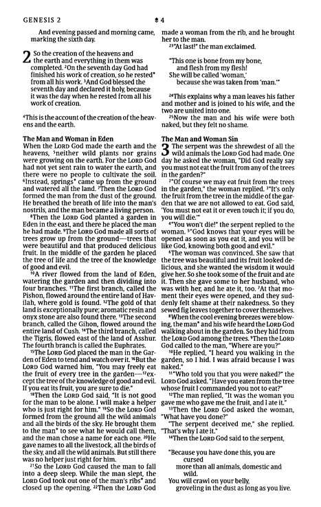 NLT Premium Value Thinline Bible: Dusty Pink Vines Leather-Like Cover (ISBN: 978196484789)