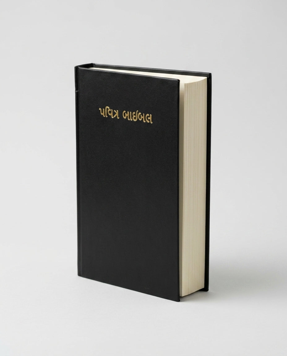 Gujarati Holy Bible - Hardcover Black Go + NIV Thompson Chain-Reference Bible, Hand Combo