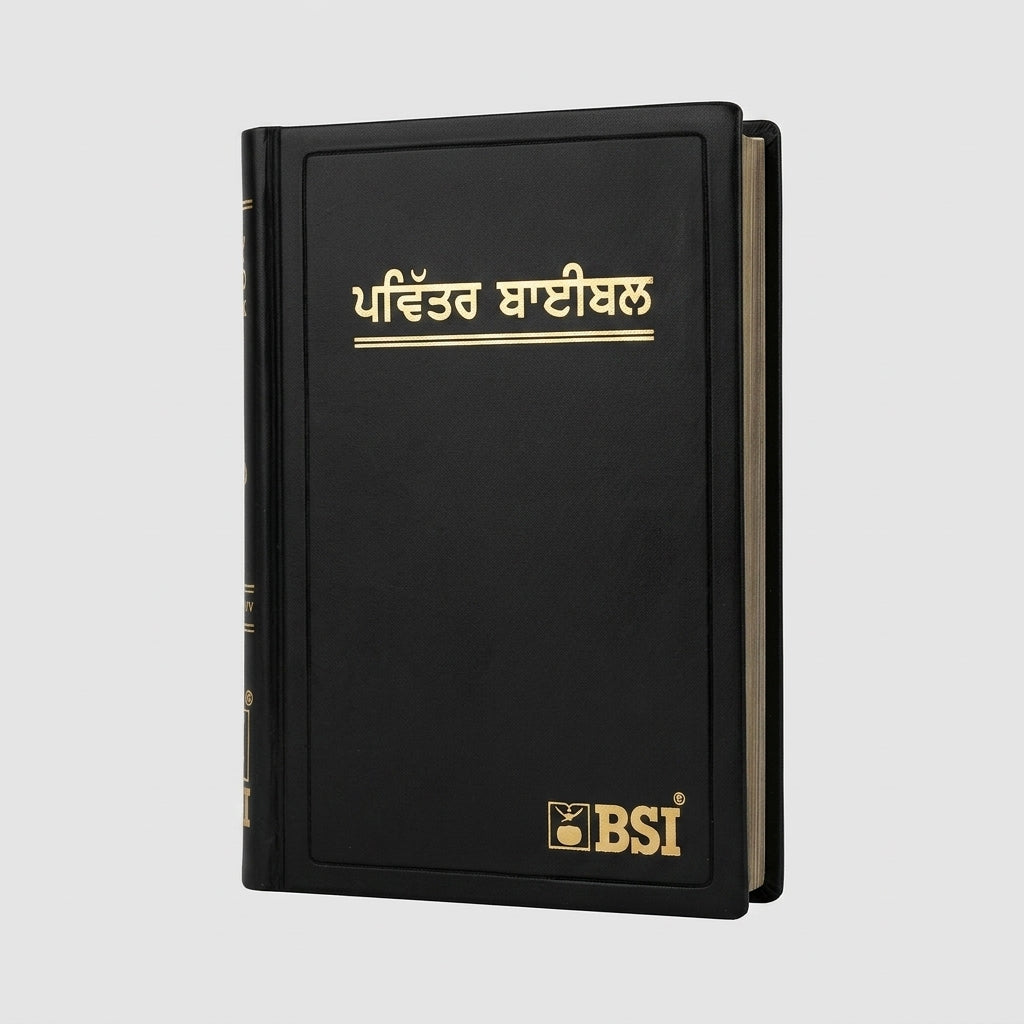 Punjabi Holy Bible - Black Faux Leather  + KJV Super Giant Print Reference Bible |  Combo