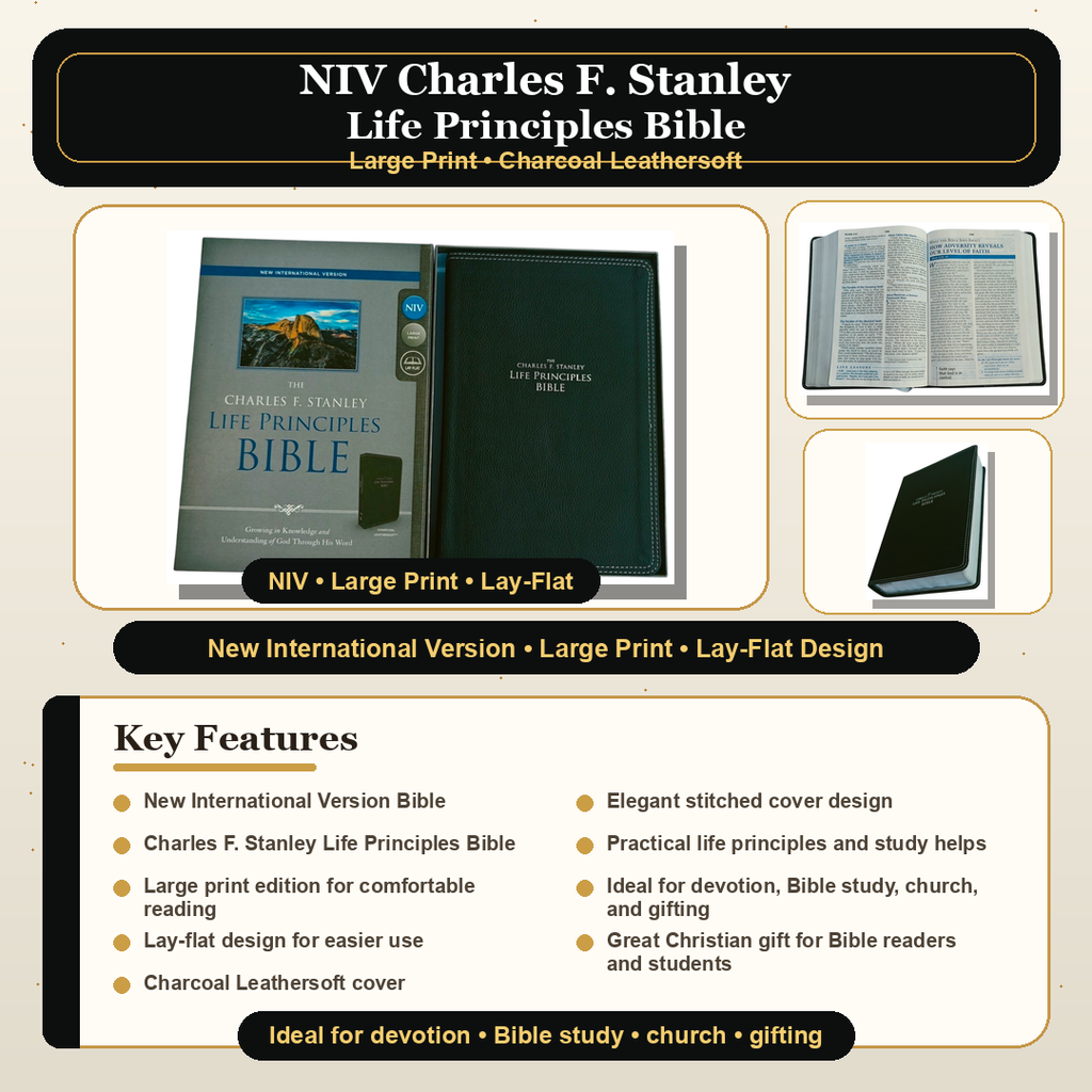 NIV Charles F. Stanley Life Principles Bible, Large Print – Charcoal Leathersoft