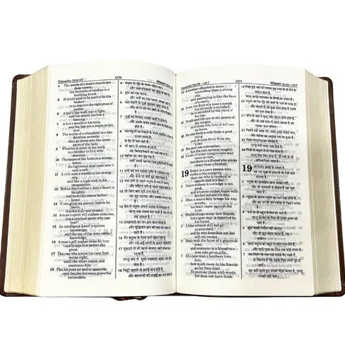 Holy Bible: Hindi-English Bilingual Diglot Edition