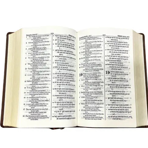 Holy Bible: Hindi-English Bilingual Diglot Edition