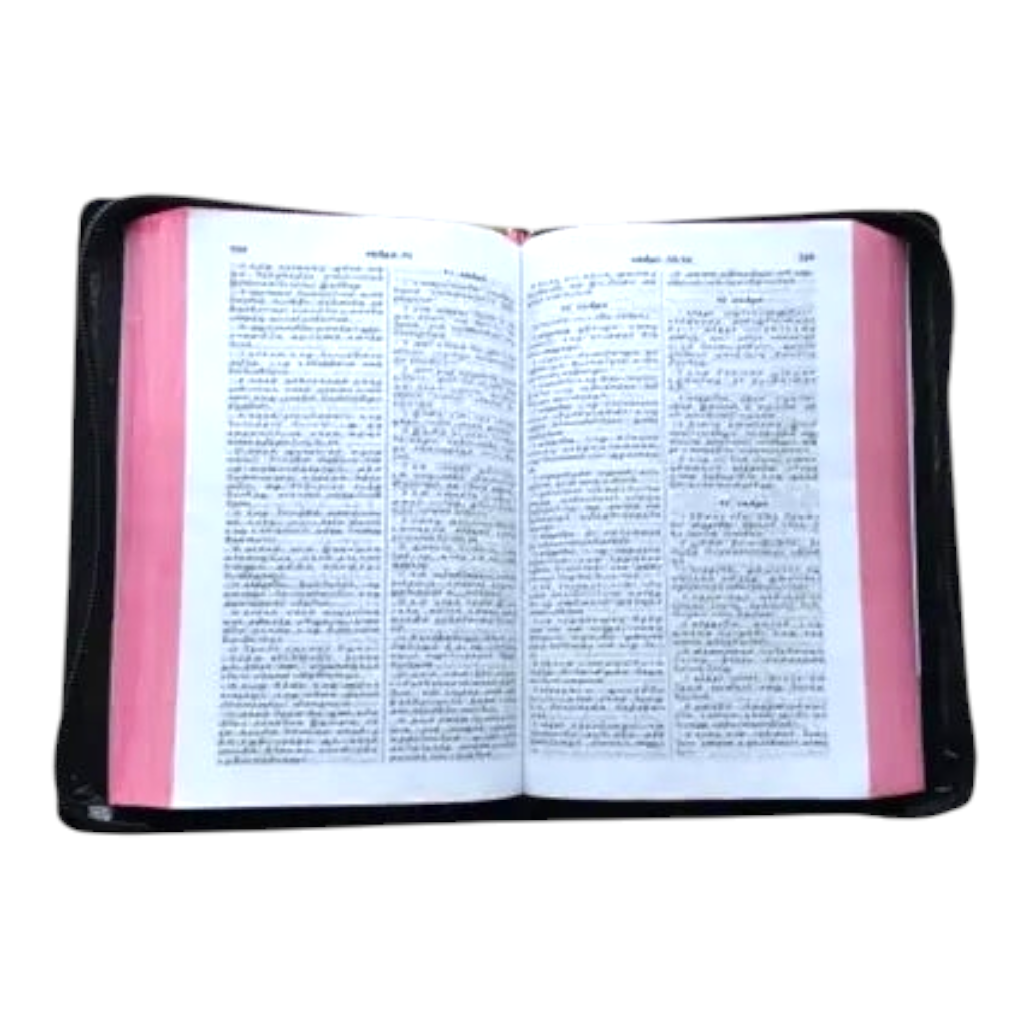 Tamil Bible with Red Border and Zipper Closure (BSI Edition)