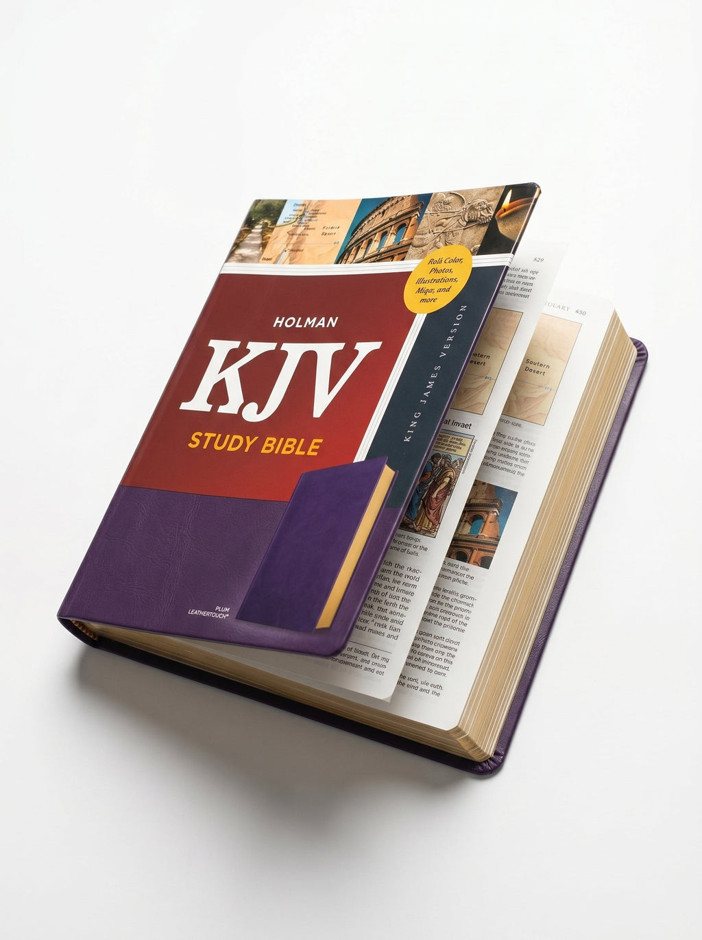 Studio photo of Holman KJV Study Bible, Plum LeatherTouch in hero