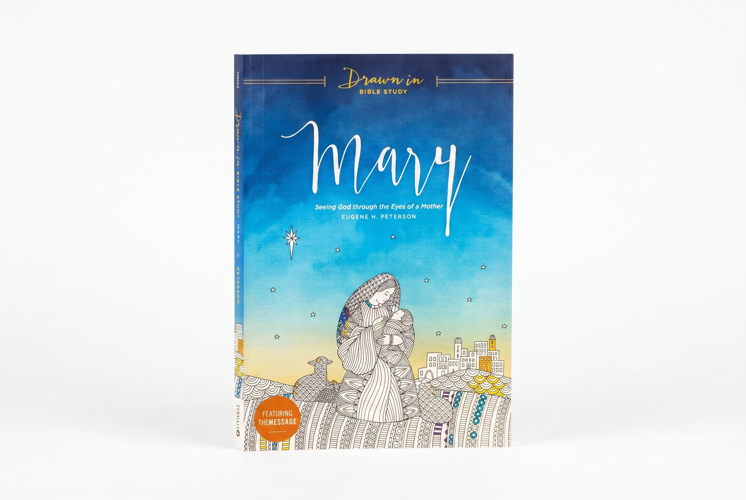 Studio photo of Mary: Seeing God through the Eyes of a Mother in hero