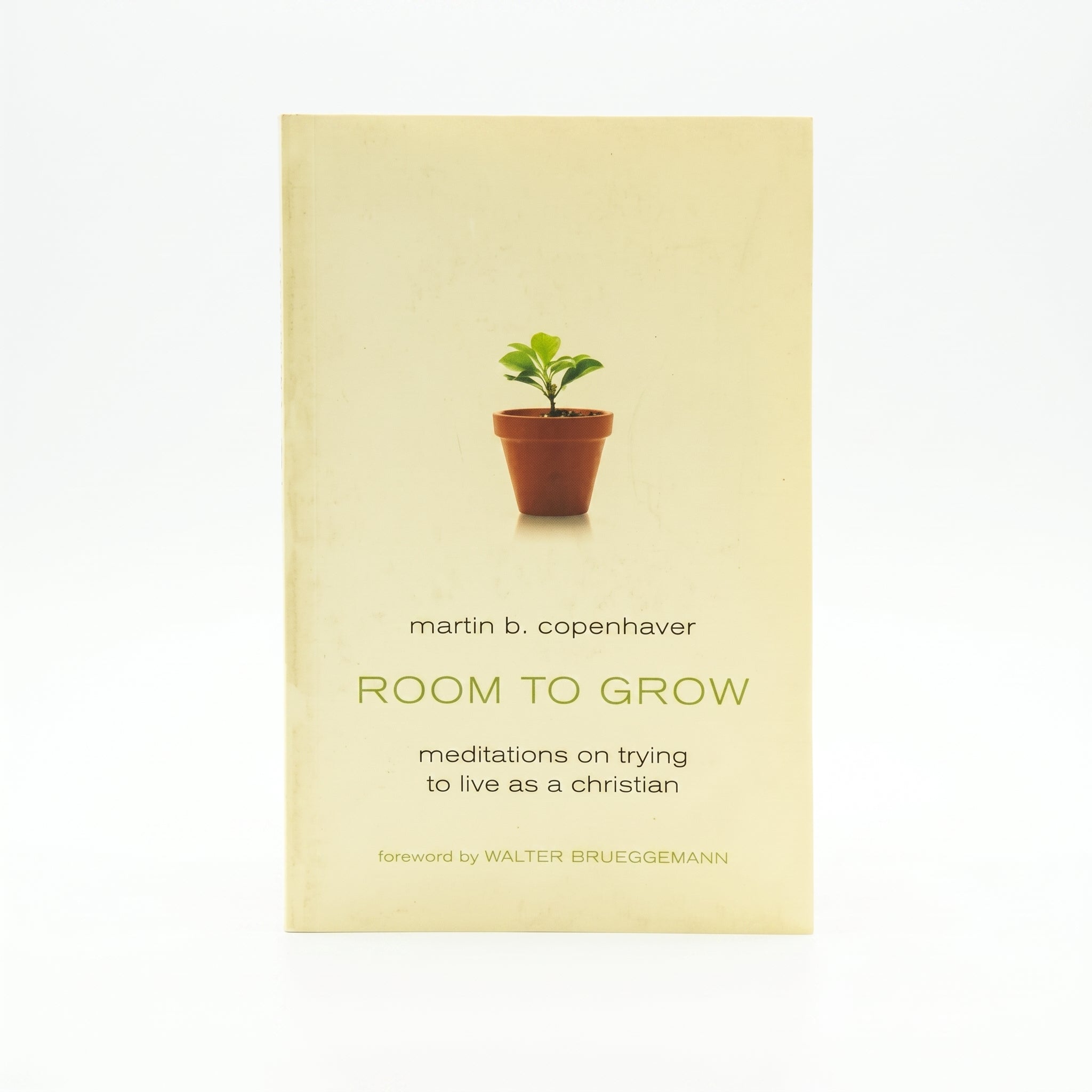 Studio photo of Room to Grow: Meditations on Trying to Live as a Christian in hero