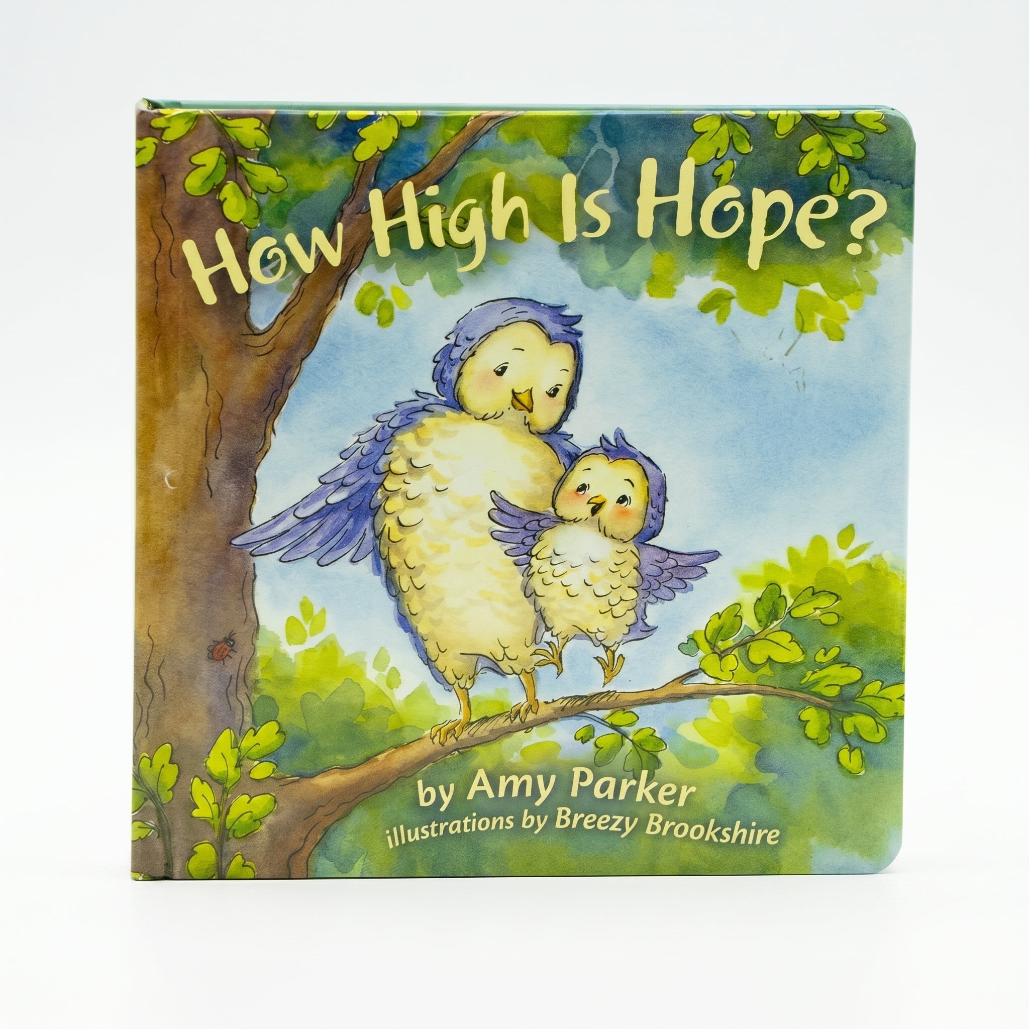 Studio photo of How High is Hope? in hero