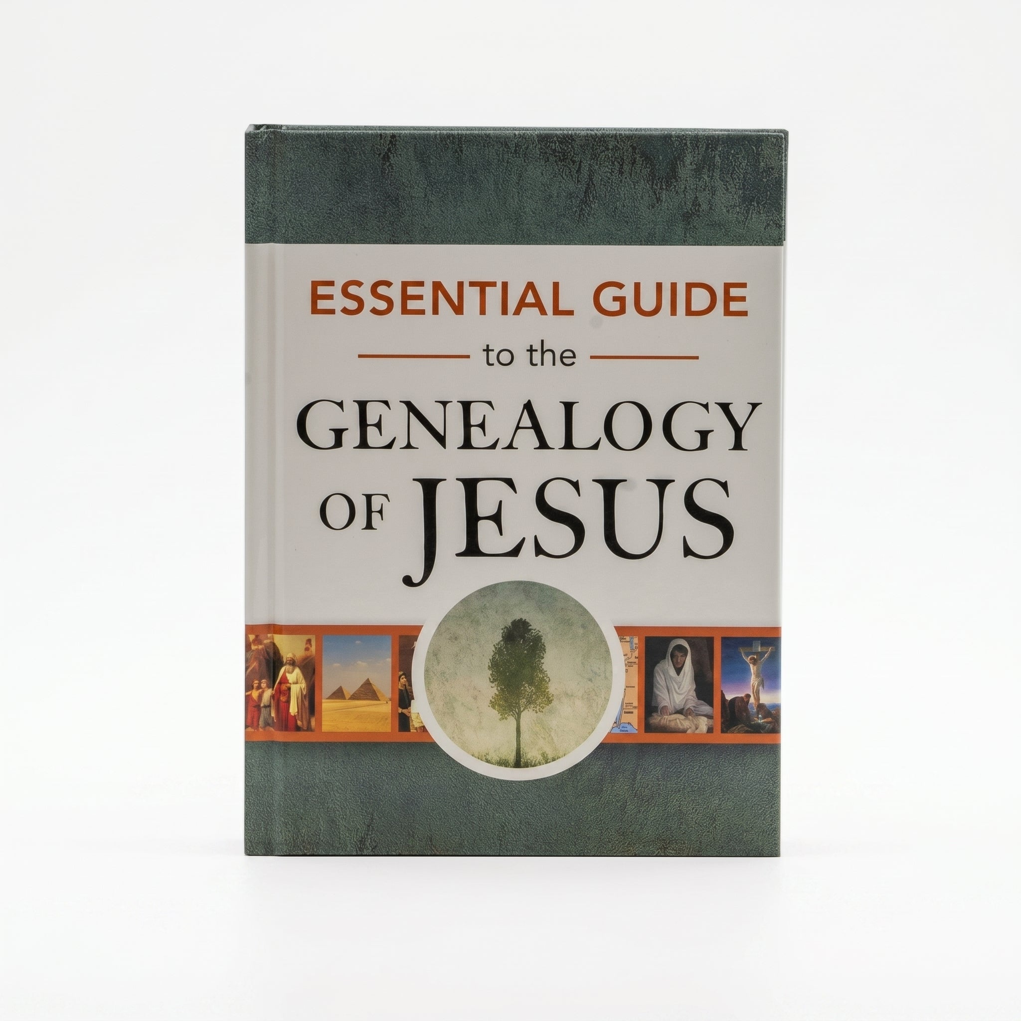 Studio photo of Essential Guide to the Genealogy of Jesus in hero