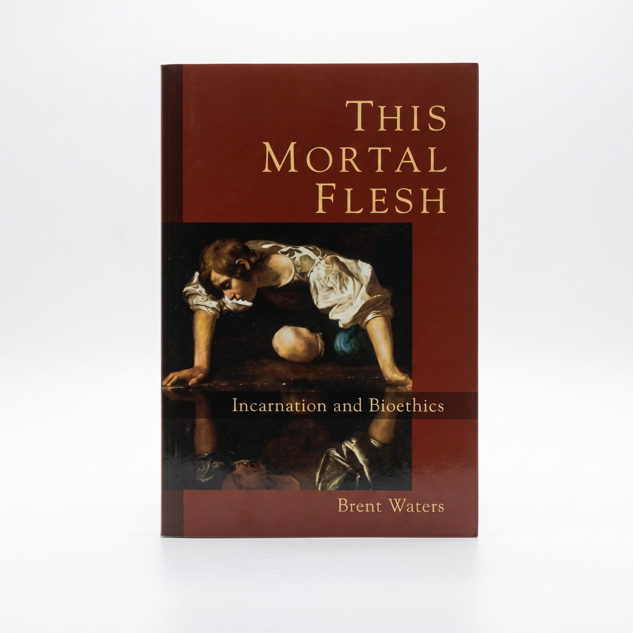 Studio photo of This Mortal Flesh: Incarnation and Bioethics in hero
