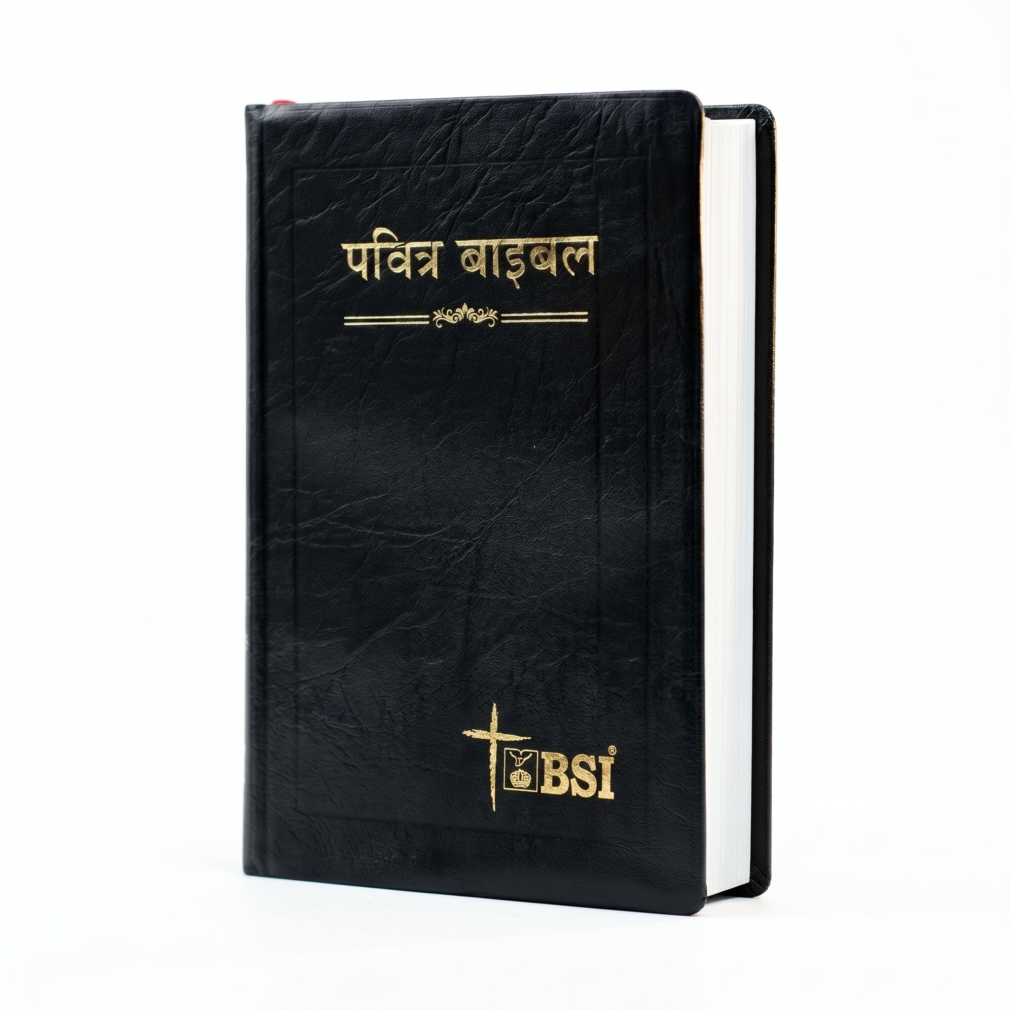 Hindi Holy Bible - Black Pebbled Leather + KJV Reader's Bible, Black/Brown Tooled L Combo