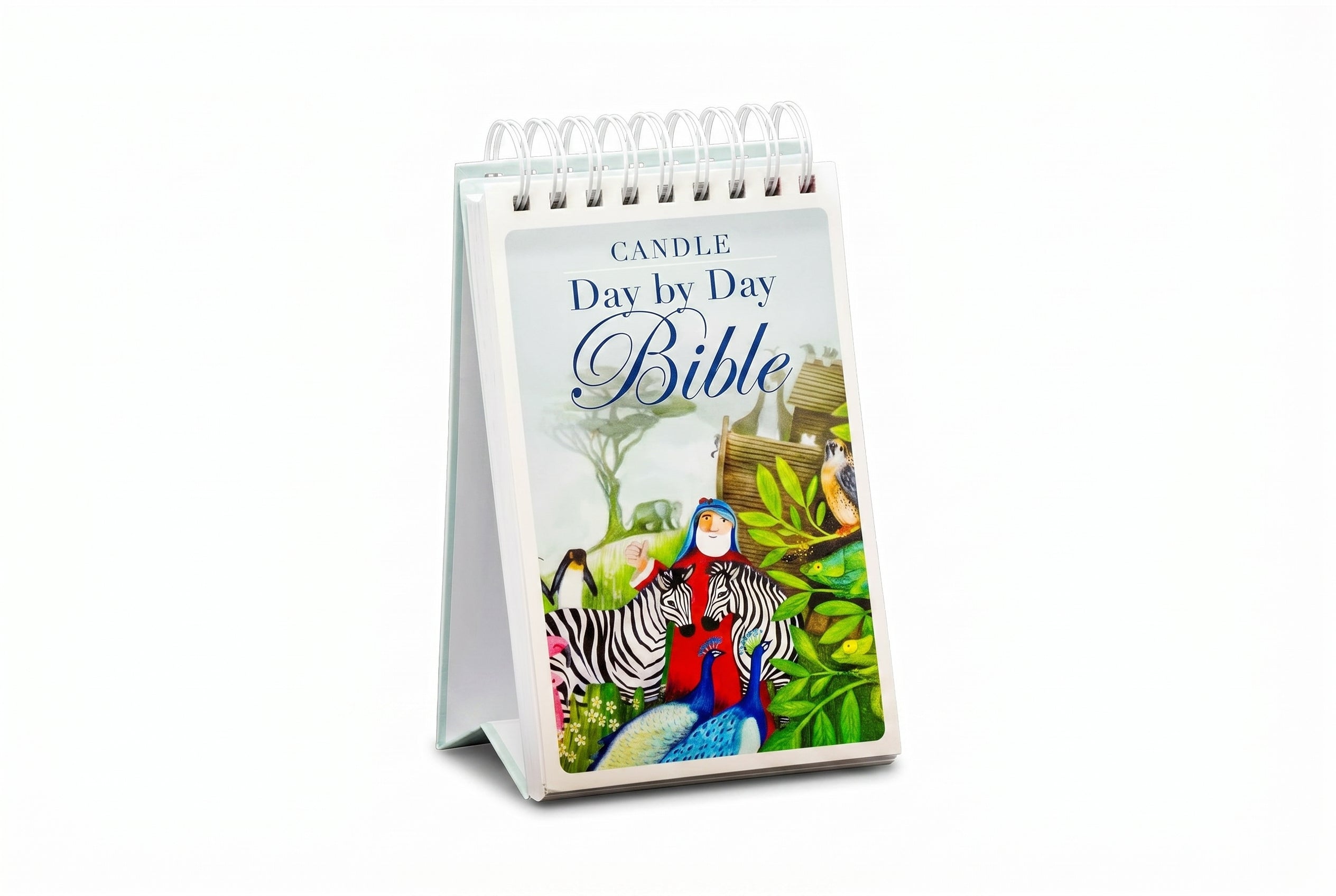 Studio photo of Candle Day By Day Bible in hero