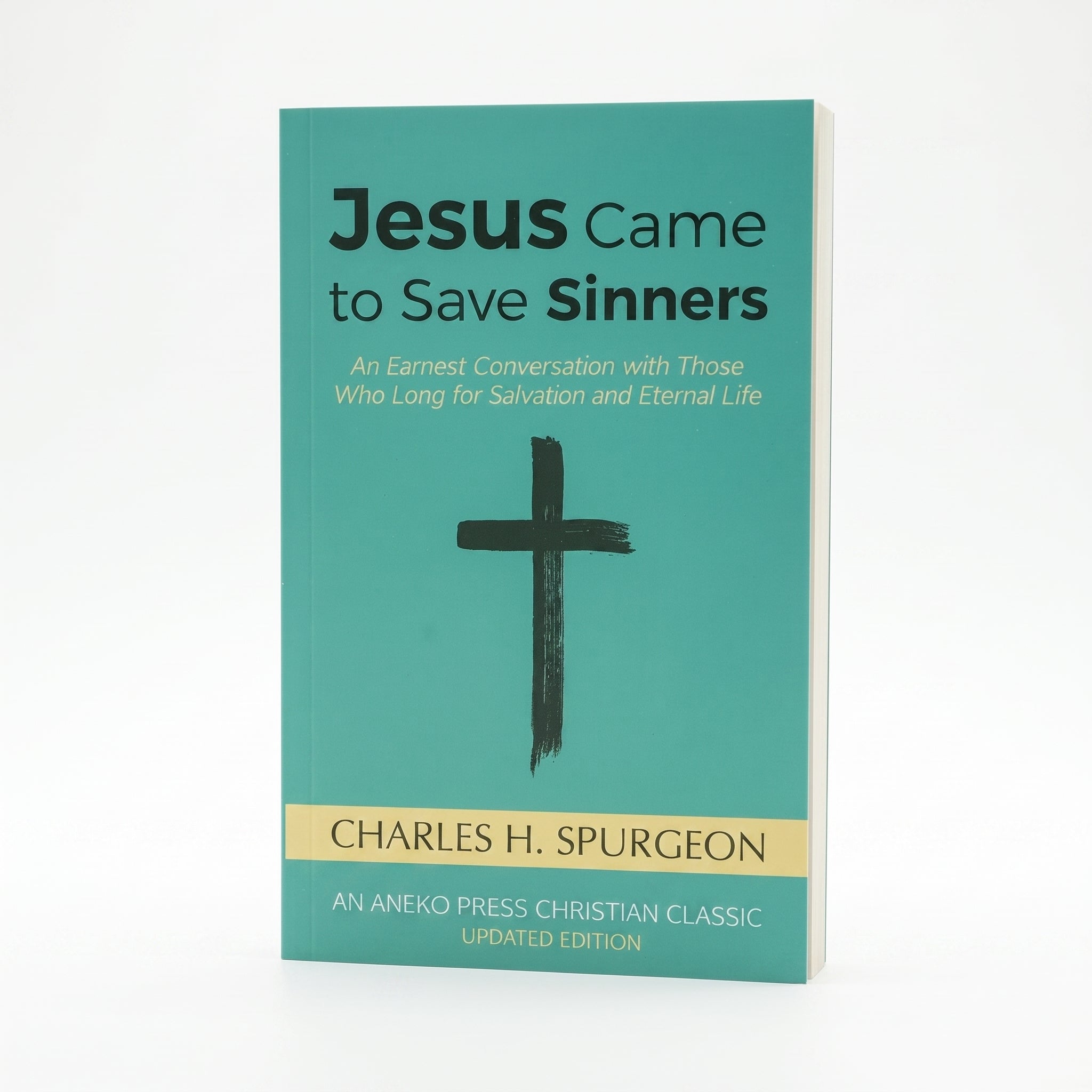 Studio photo of Jesus Came to Save Sinners: An Earnest Conversation with Those Who Long for Salvation and Eternal Life in hero