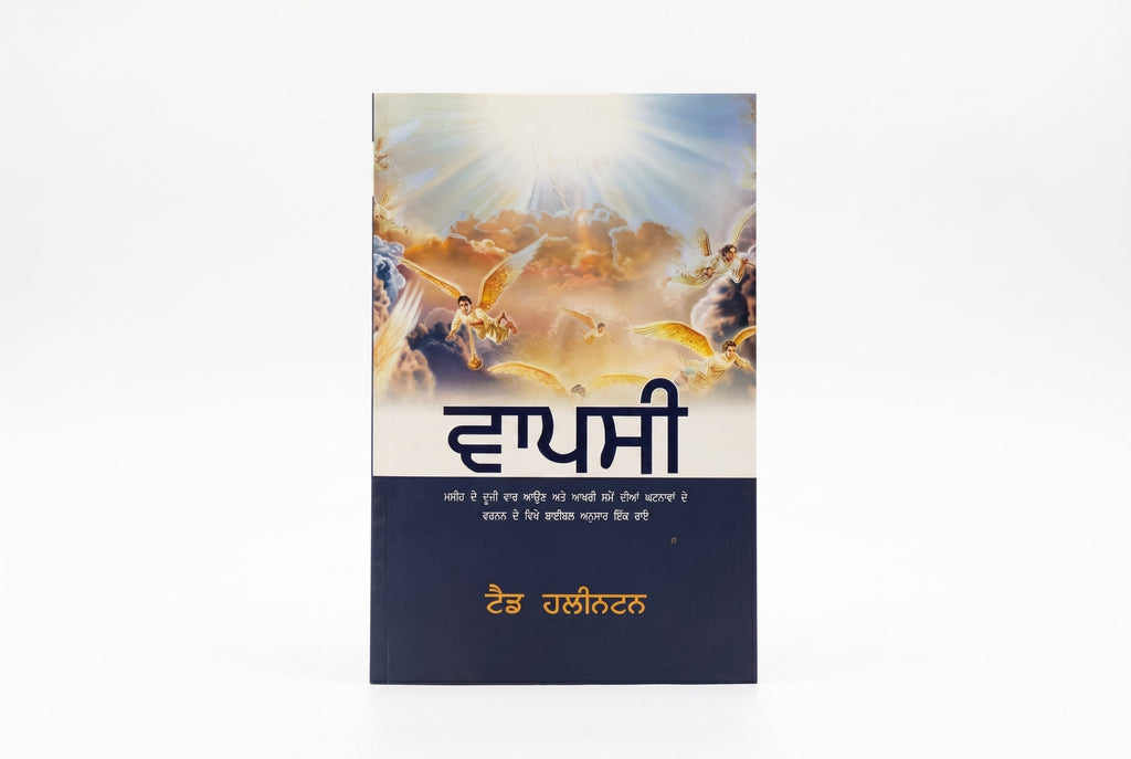 Studio photo of The Return (Punjabi) in hero