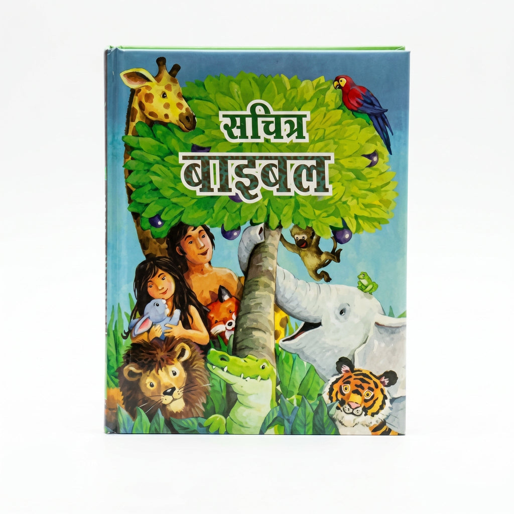 Studio photo of The Picture Bible (Hindi) in hero