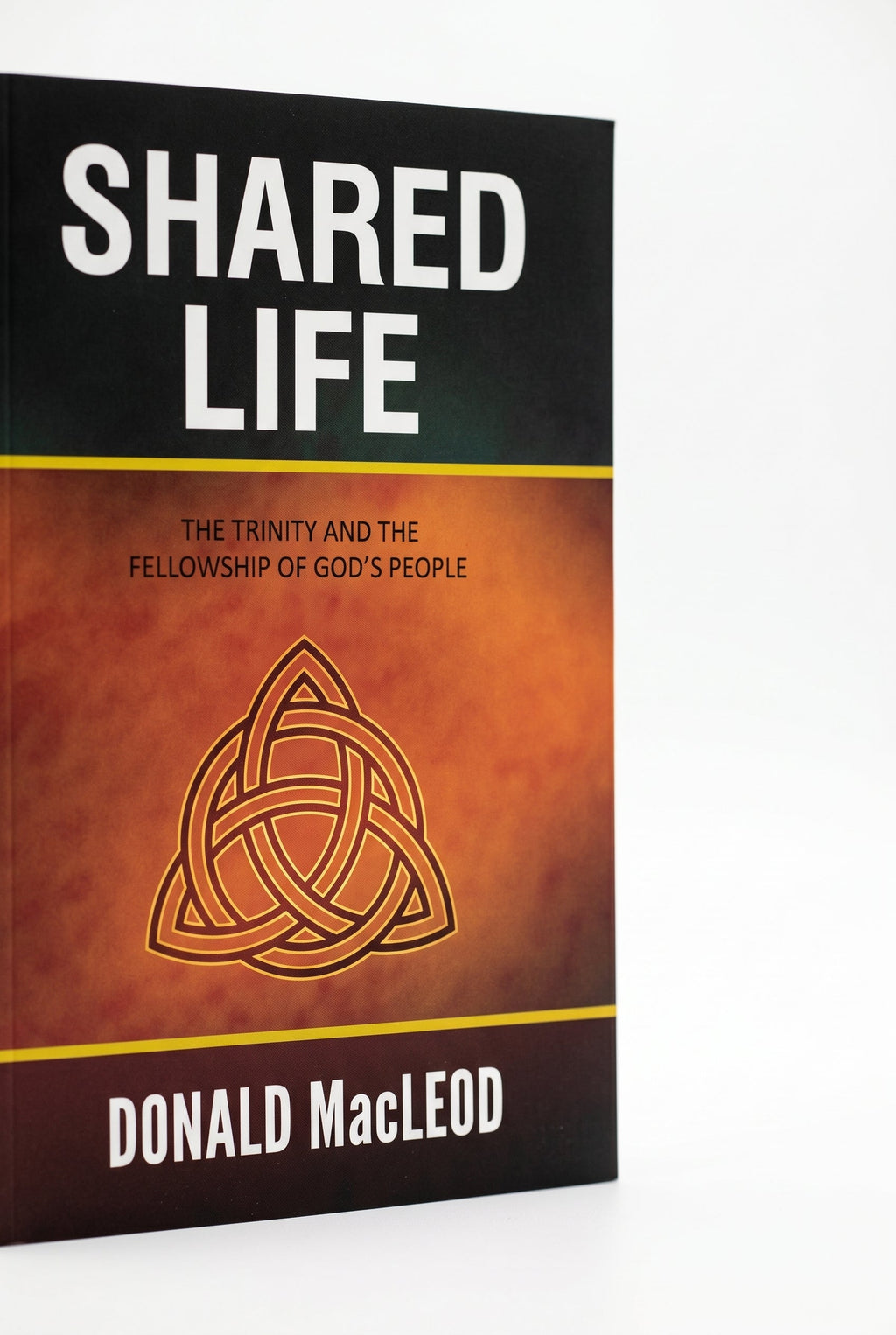 Studio photo of Shared Life: The Trinity and the Fellowship of God’s People in detail