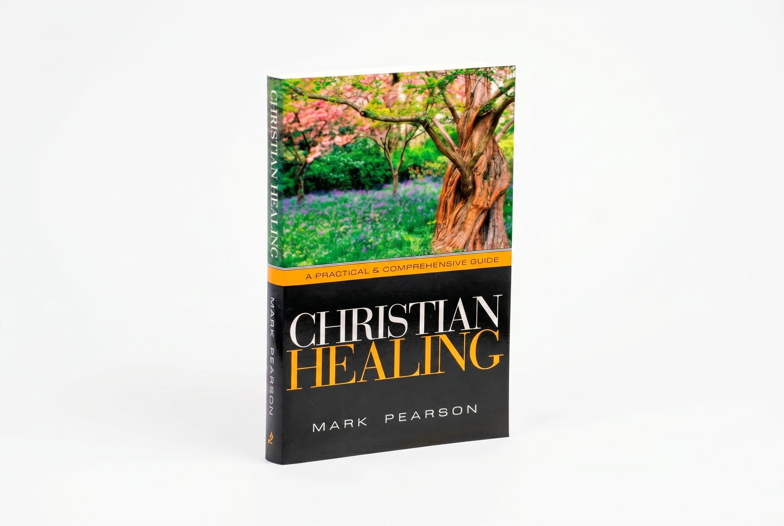 Studio photo of Christian Healing in hero