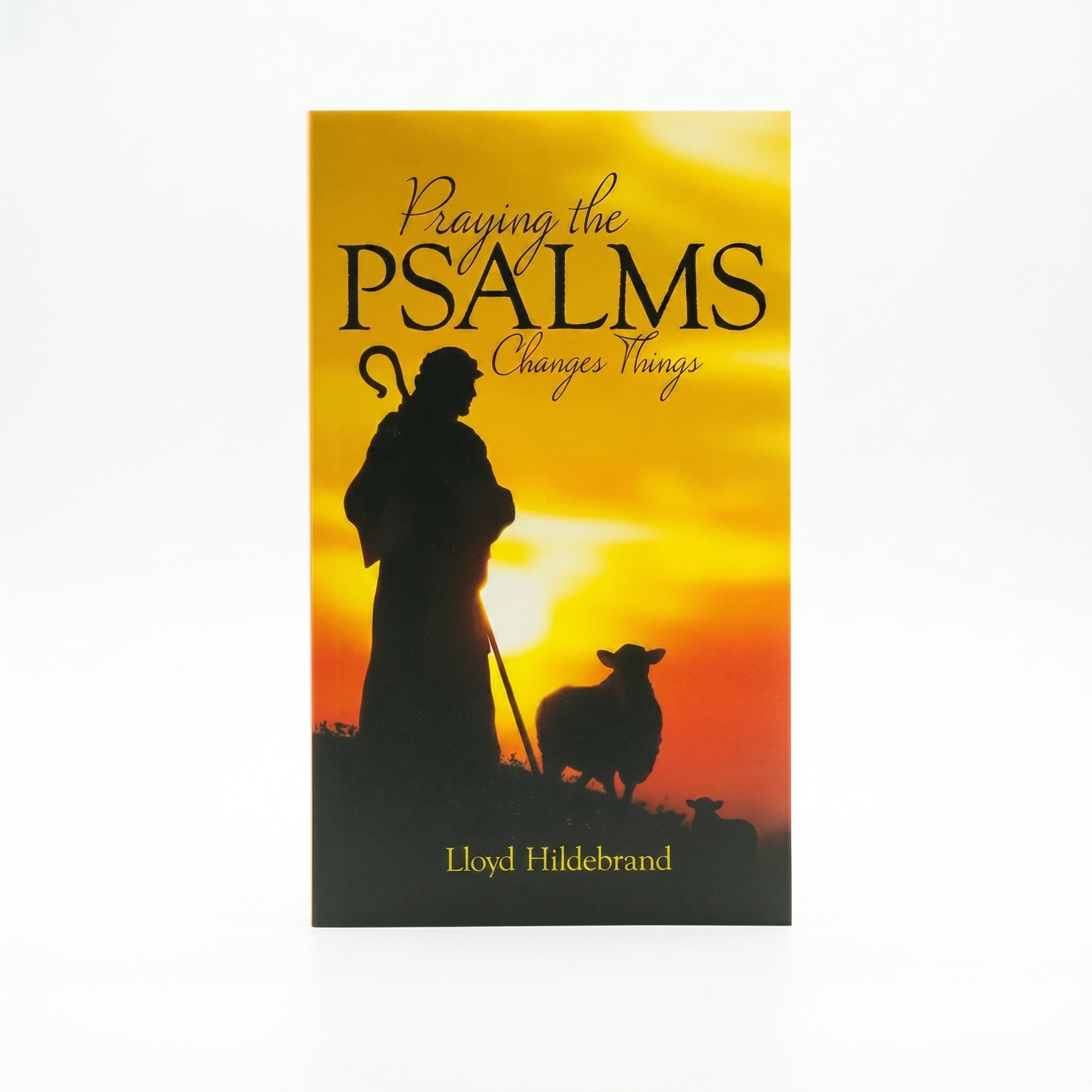 Studio photo of Praying the Psalms Changes Things in hero