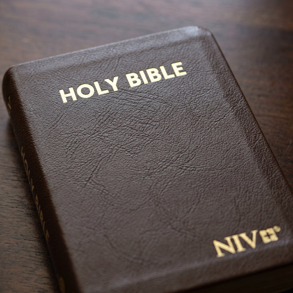 NIV Holy Bible Compact, British Tan | Ch + NIV Holy Bible Compact Gold Edge Burgund Combo