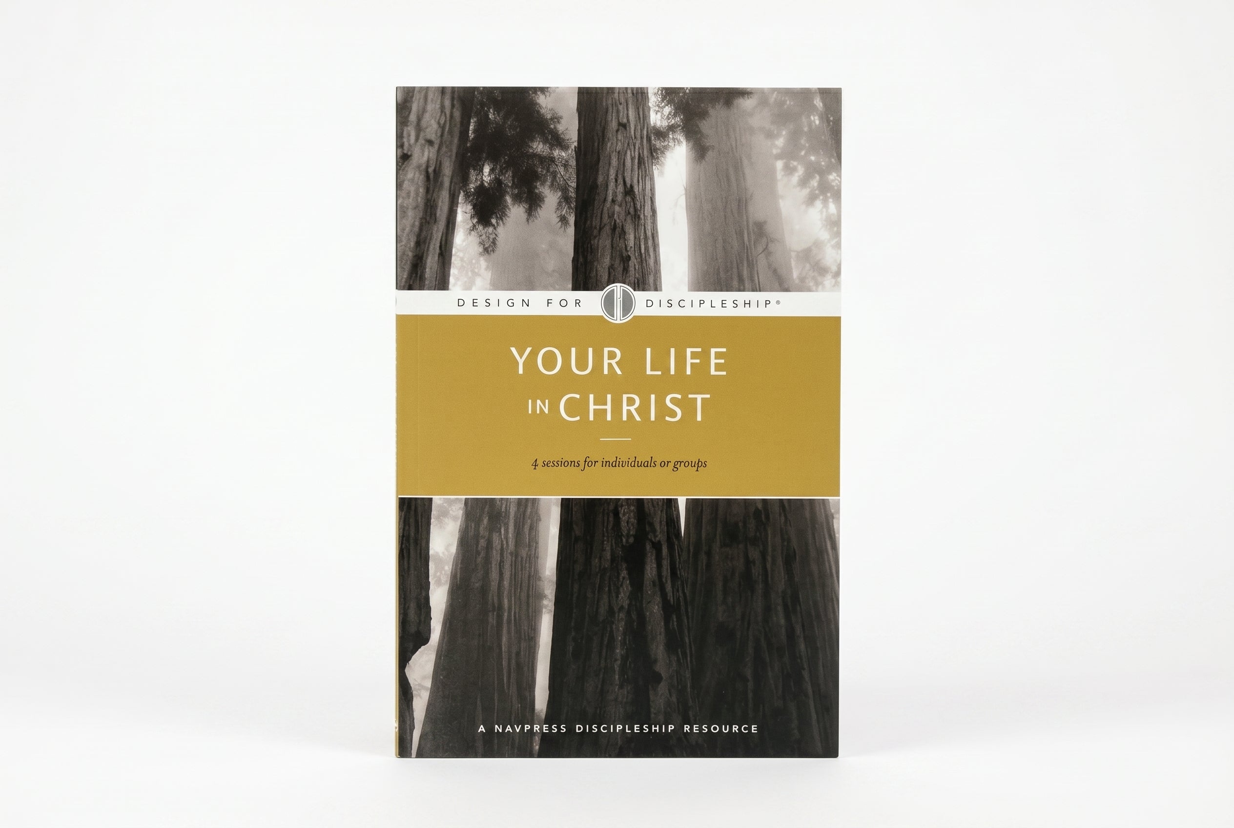 Studio photo of Your Life in Christ in hero