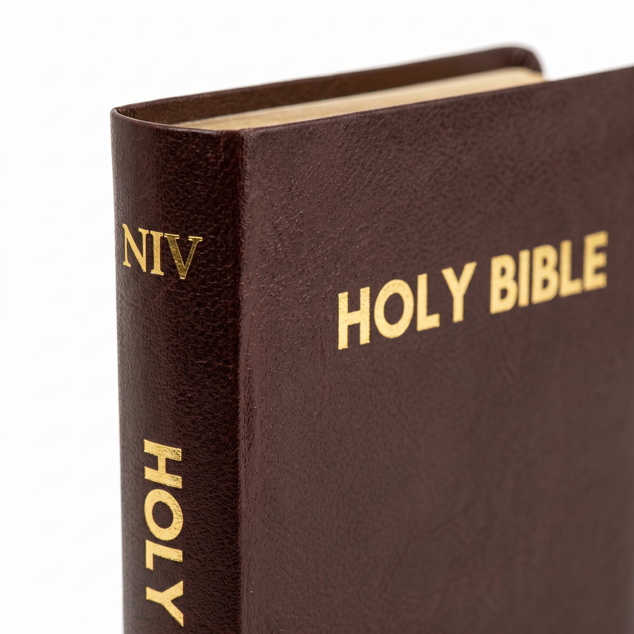 NIV Holy Bible Compact, Burgundy | Chris + NIV Holy Bible Compact, Red | Christian  Combo