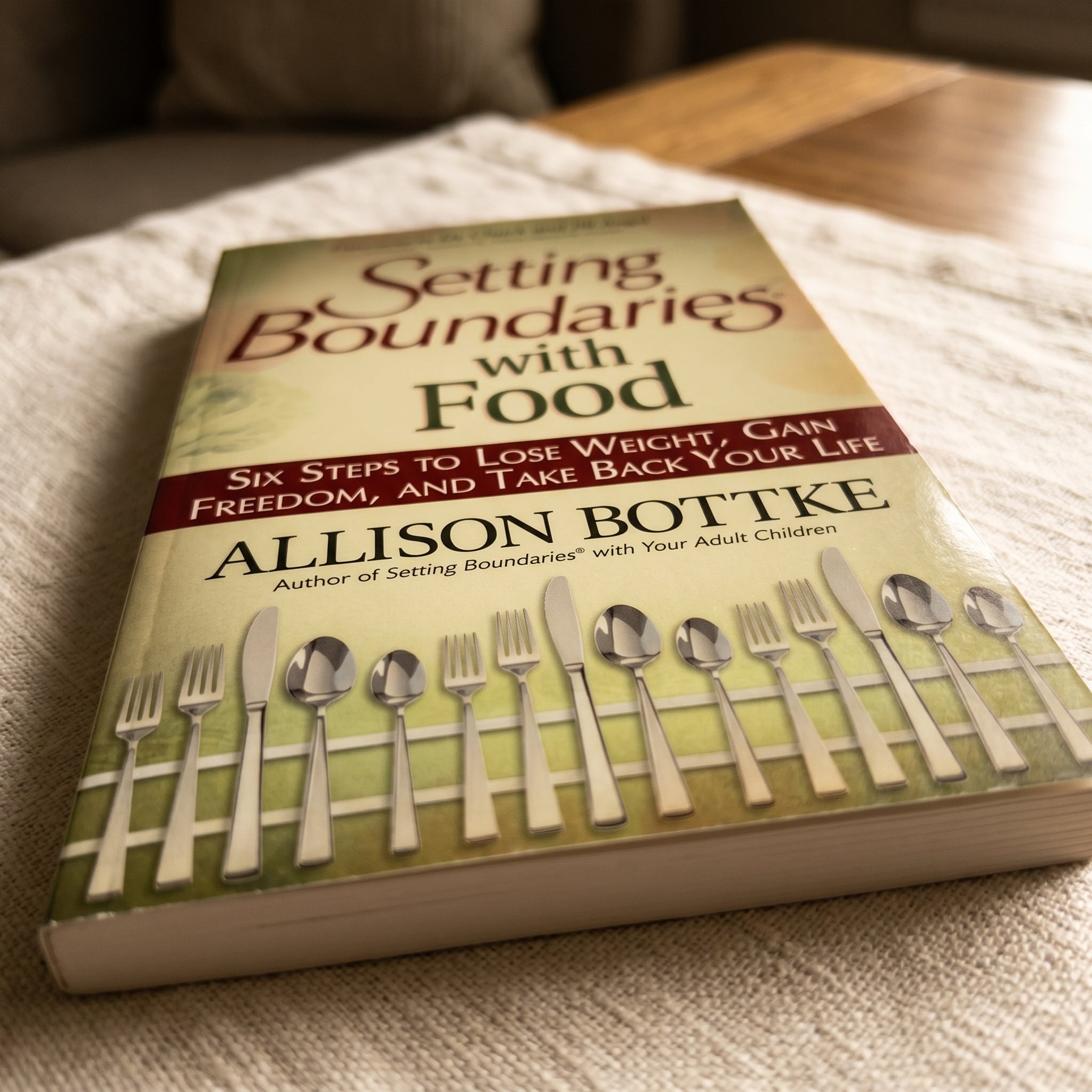 Studio photo of Setting Boundaries with Food: Six Steps to Lose Weight, Gain Freedom, and take Back Your Life in detail