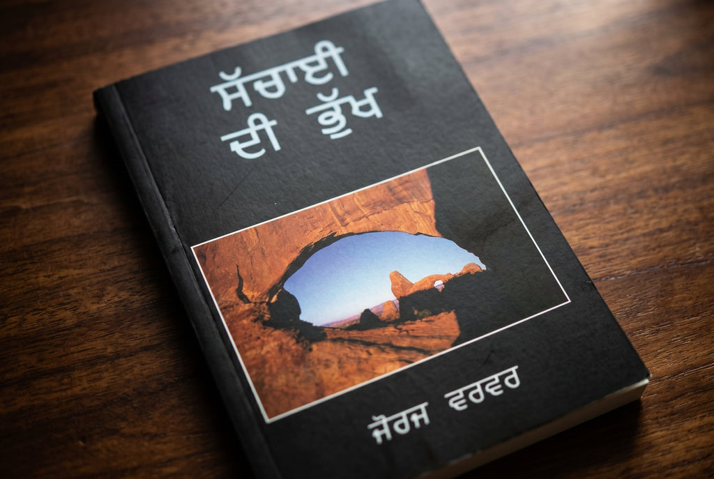 Studio photo of Hunger for Reality (Punjabi) in detail