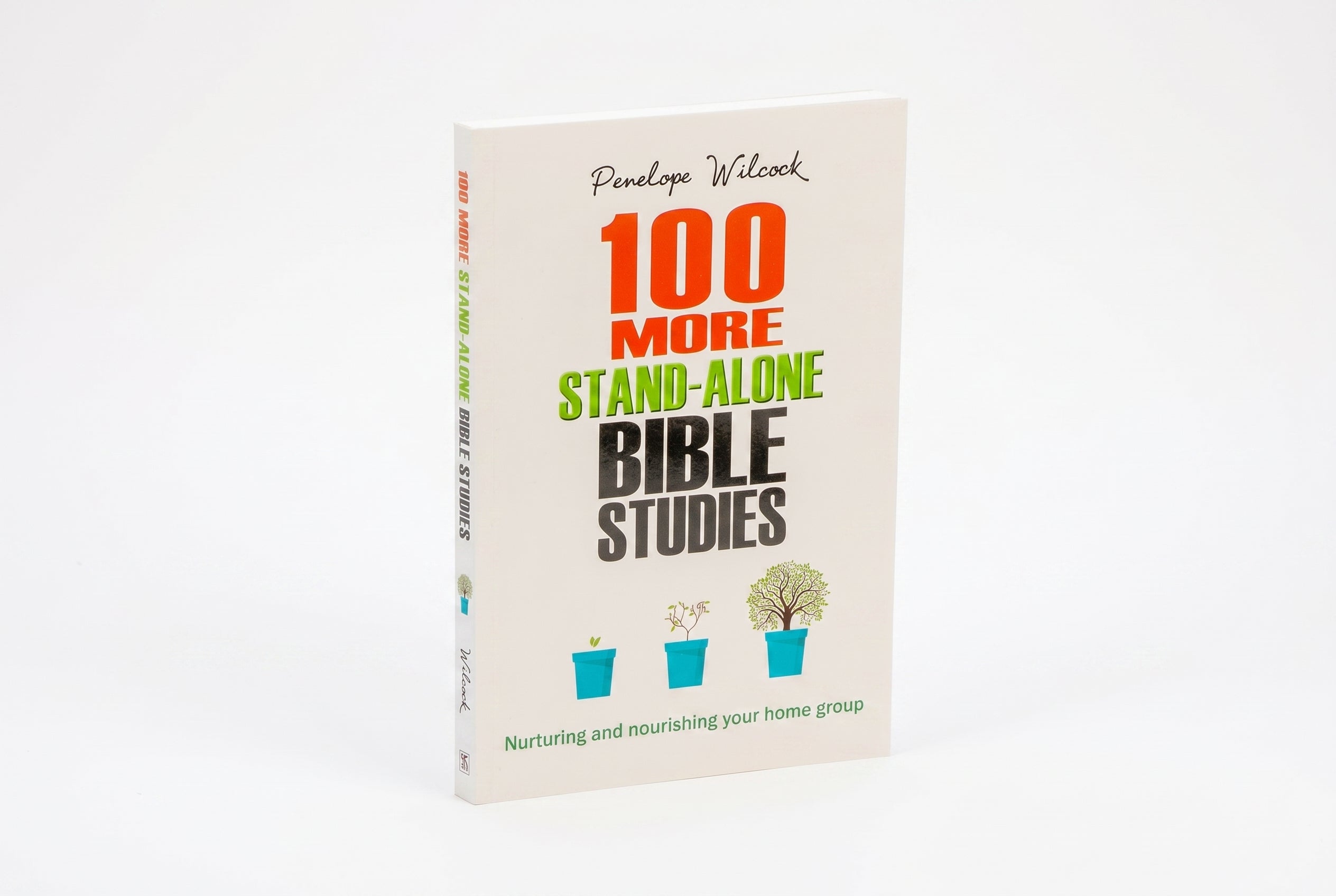 Studio photo of 100 More Stand-Alone Bible Studies in hero