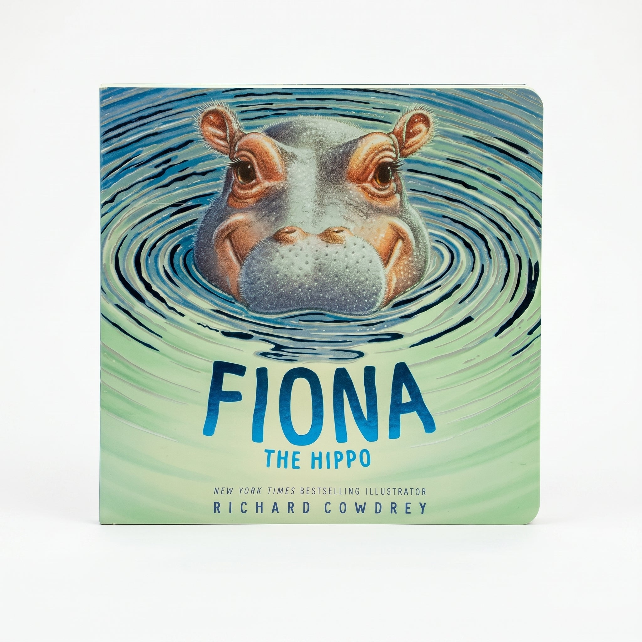 Studio photo of Fiona the Hippo (A Fiona the Hippo Book) in hero
