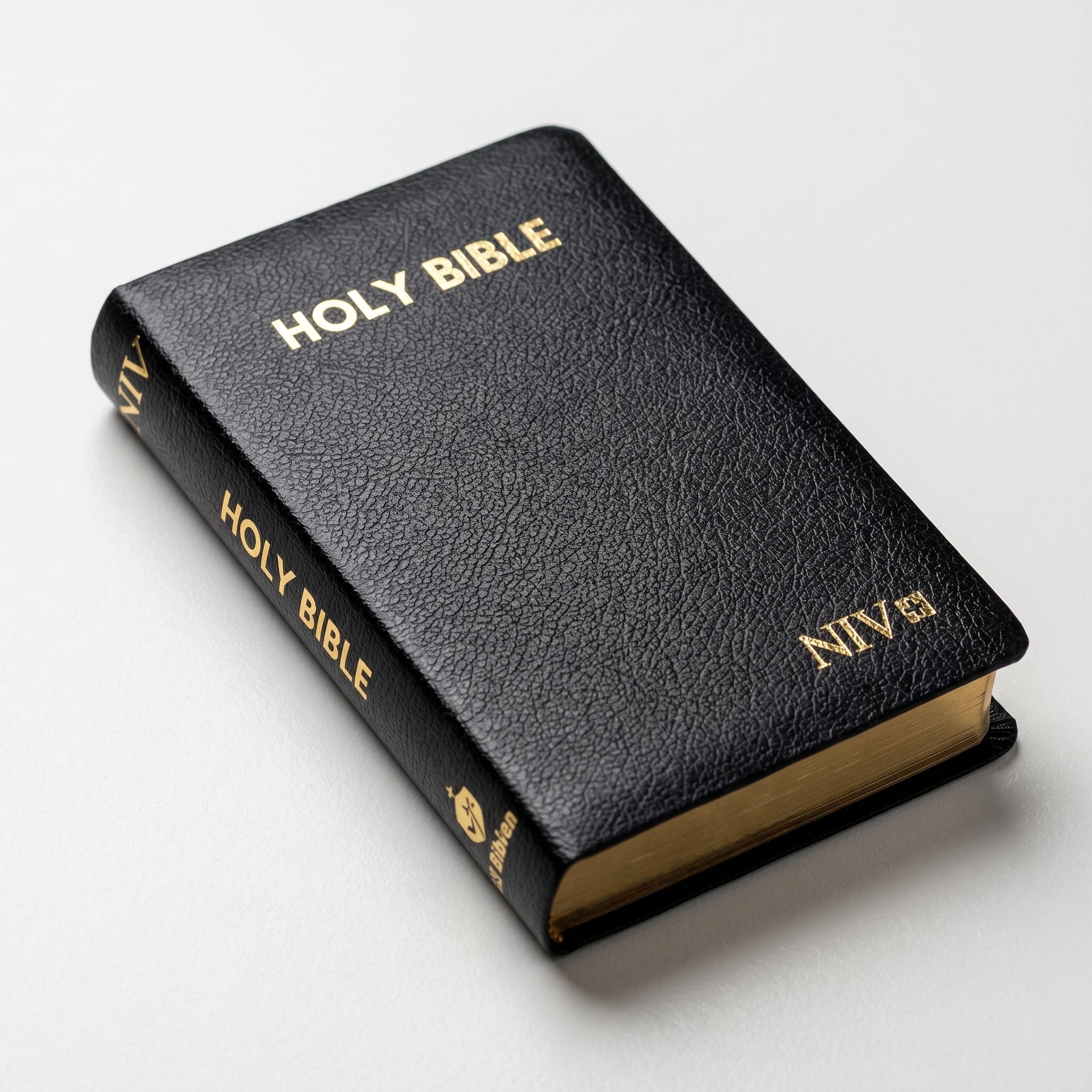 NIV Holy Bible Capsule, Black | Christia + KJV Personal Size Giant Print Reference  Combo