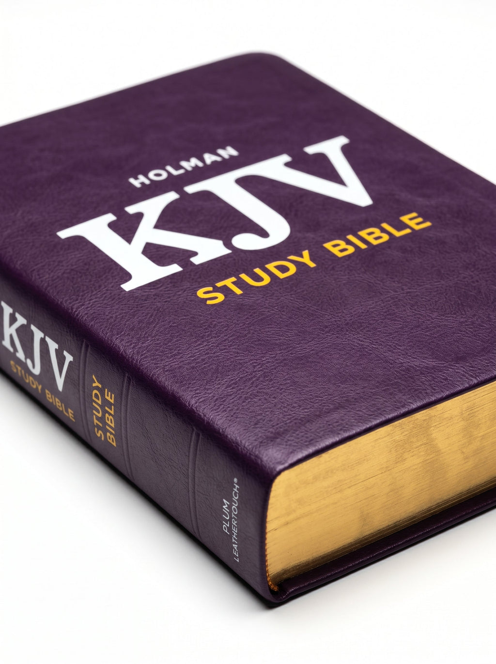 Studio photo of Holman KJV Study Bible, Plum LeatherTouch in detail