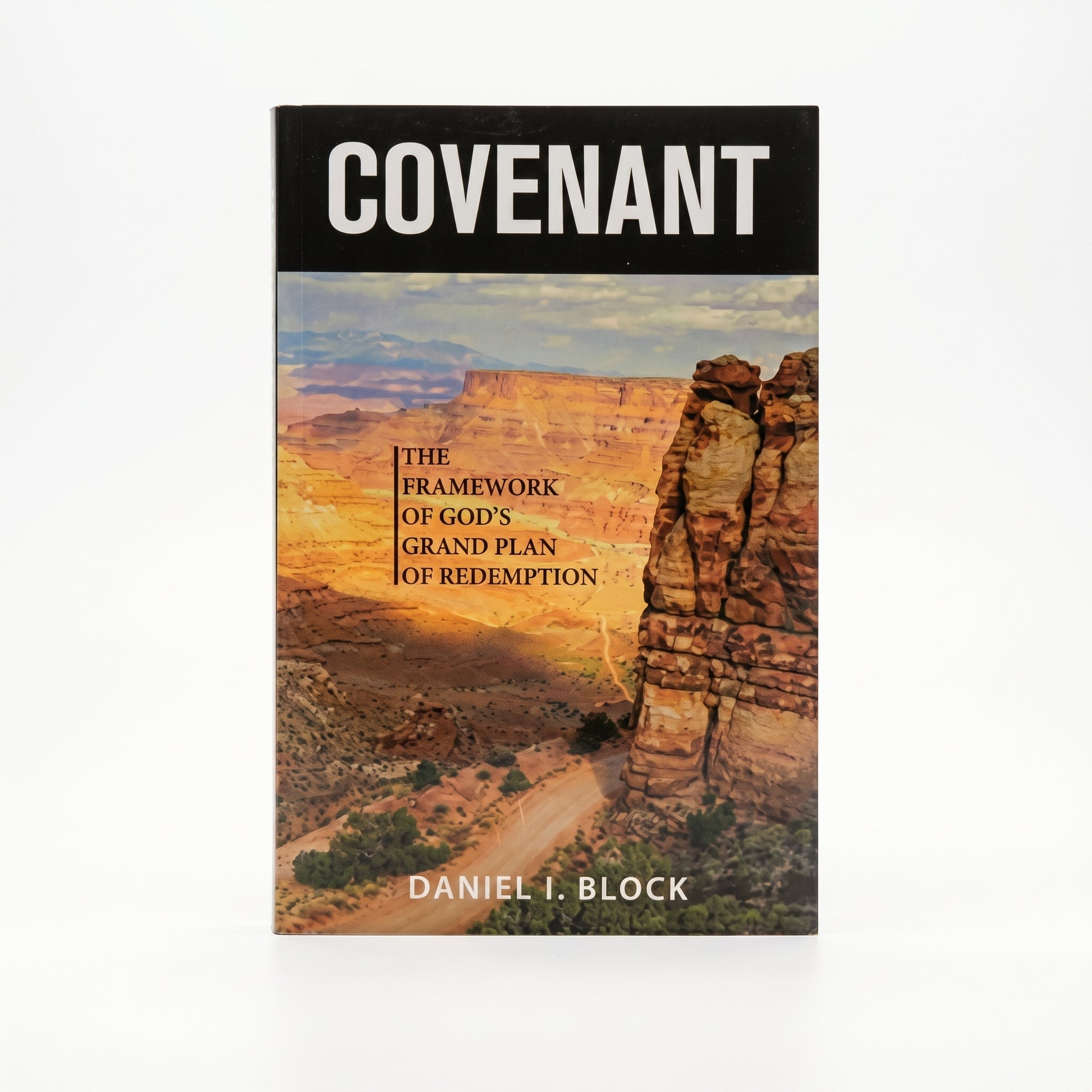 Studio photo of Covenant: The Framework of Gods Grand Grand Plan of Redemption in hero