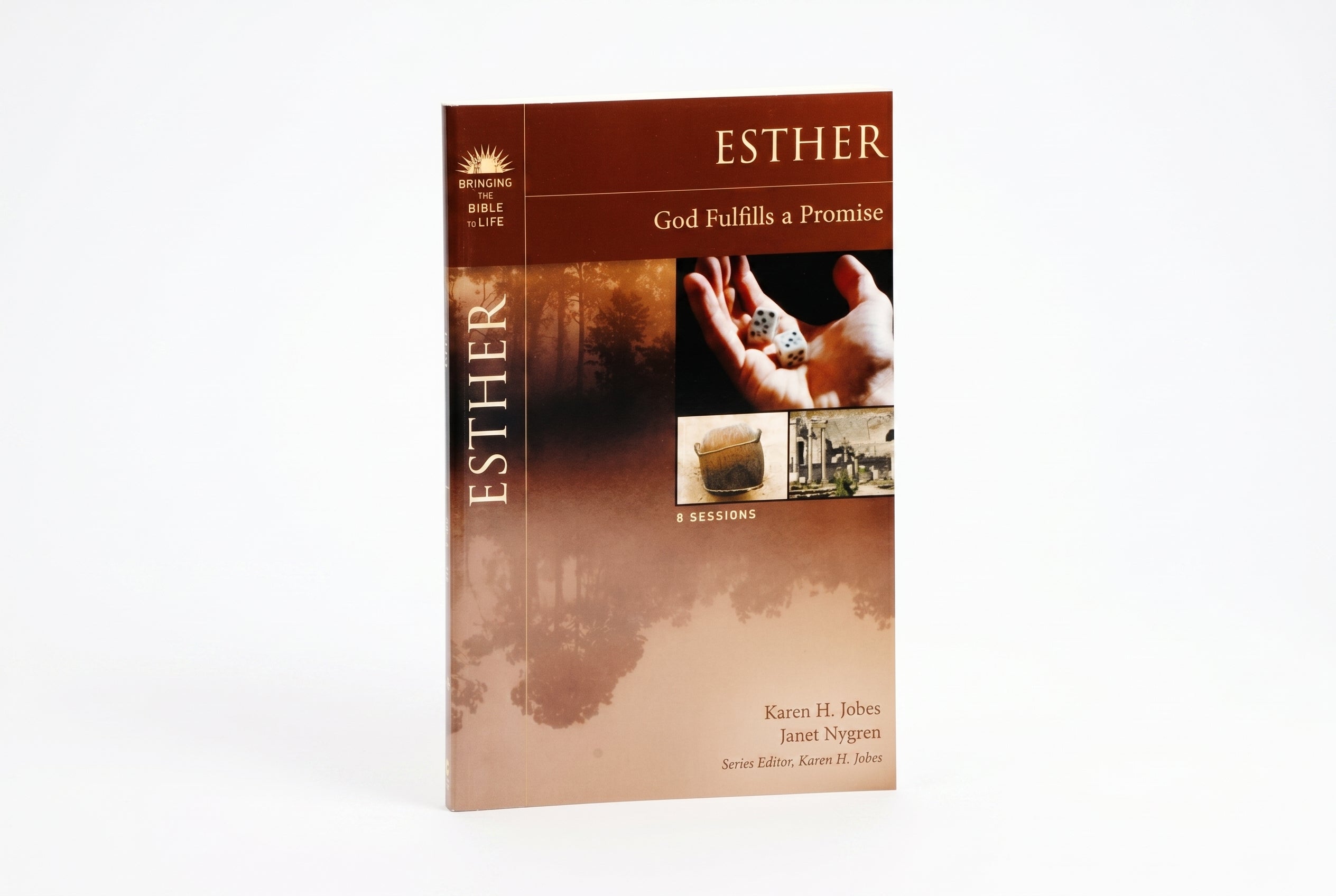 Studio photo of Esther: God Fulfills a Promise in hero