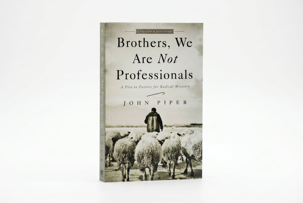Studio photo of Brothers, We Are Not Professionals in hero