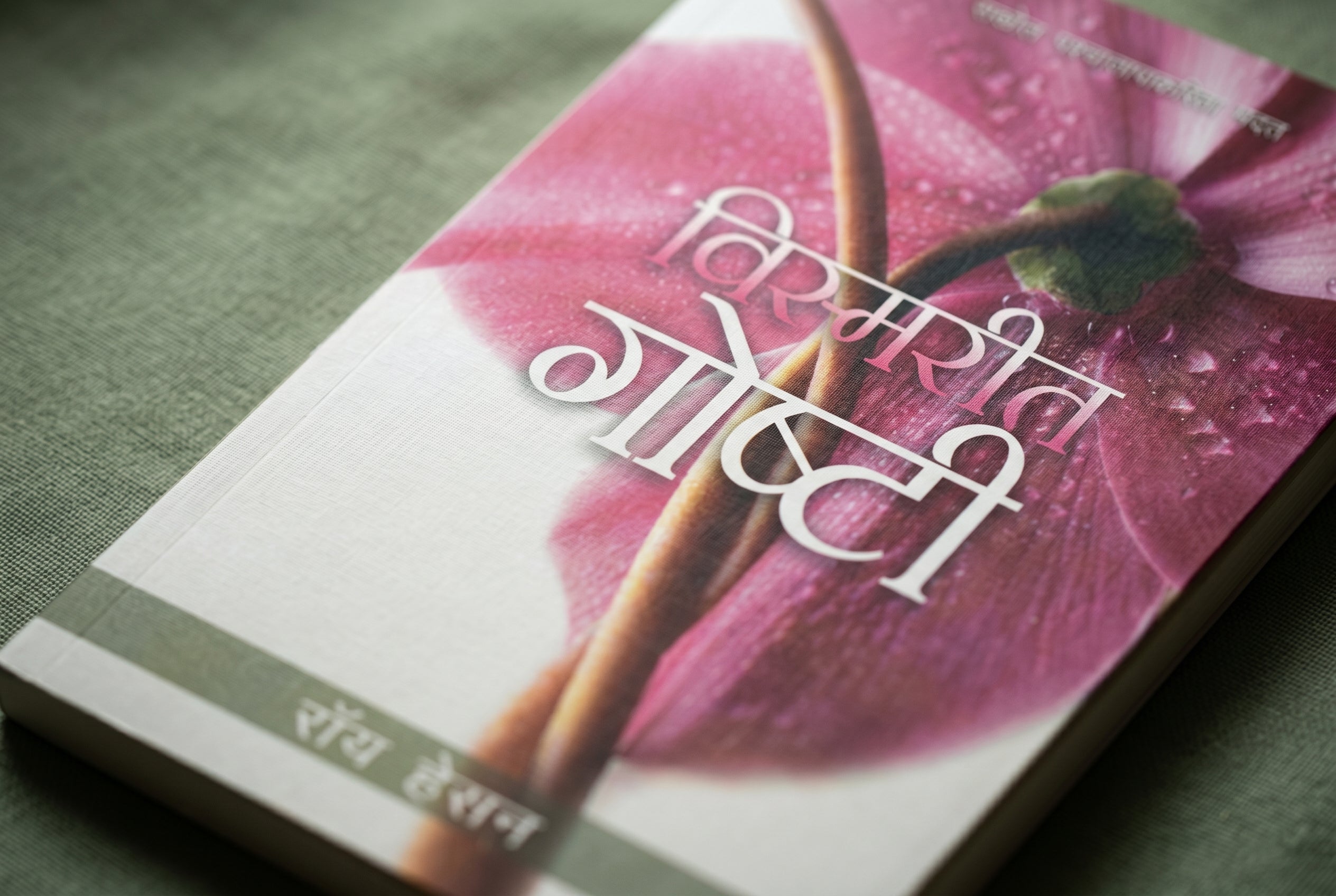 Studio photo of Forgotten Factors (Marathi) in detail
