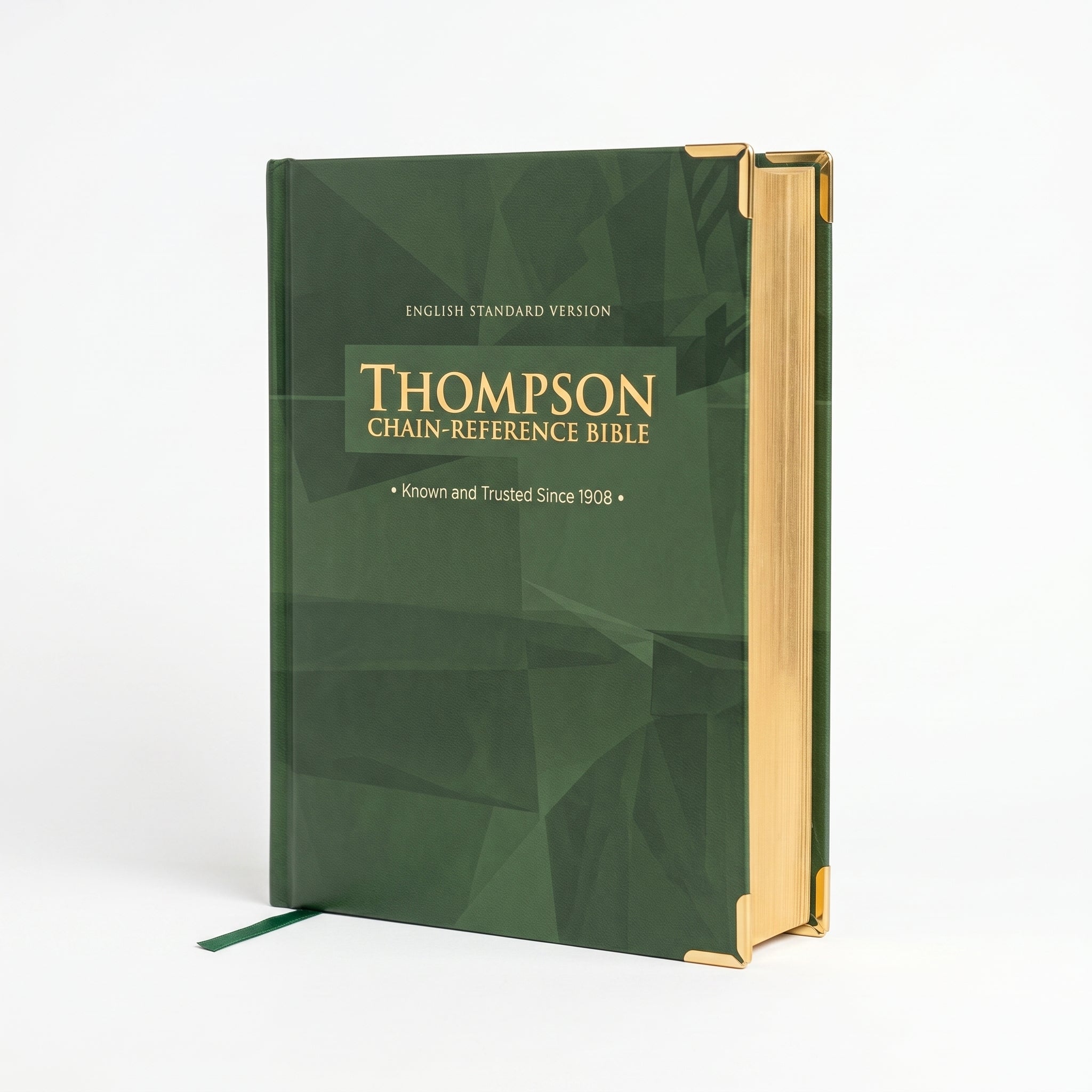 ESV Thompson Chain-Reference Bible in Fo + NLT Tyndale  Filament Bible: Premium Bib Combo